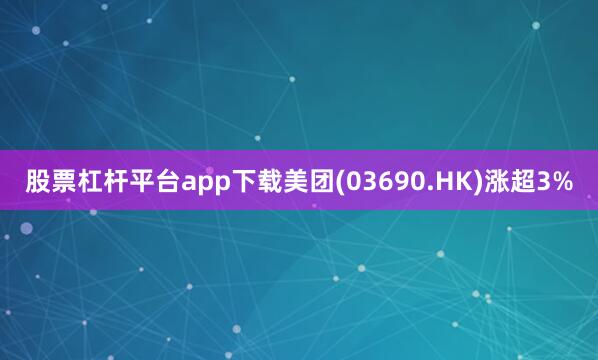 股票杠杆平台app下载美团(03690.HK)涨超3%