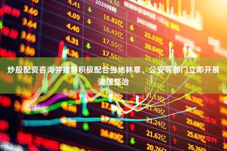 炒股配资咨询并指导积极配合当地林草、公安等部门立即开展清理整治